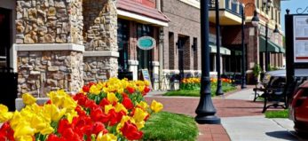 Retail Landscaping