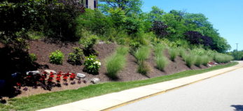 Mulch & Weed Control Landscape